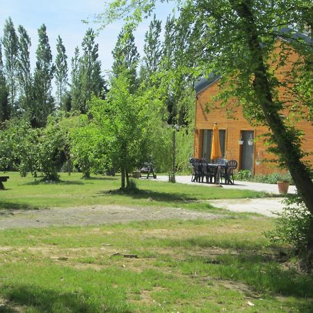 Florennes Gîte neuf 150 M2 devant un grand lac privé de 2 hectares poissonneux au milieu des bois Exterior foto
