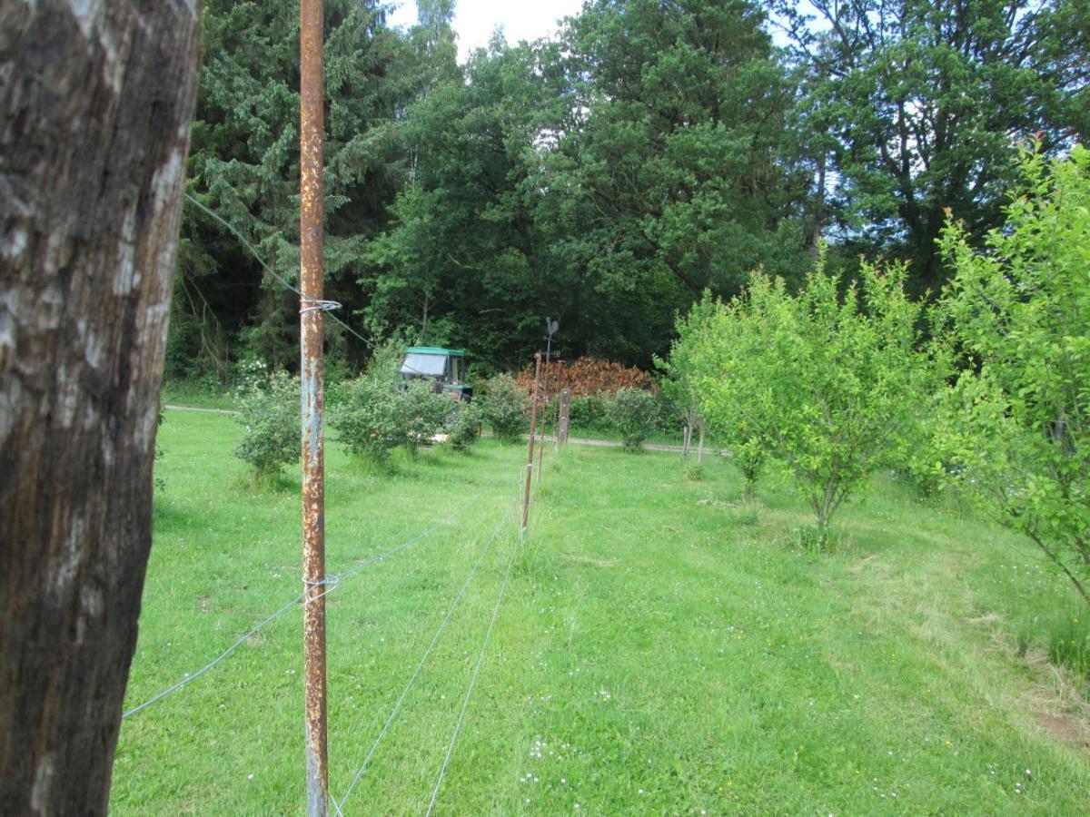 Florennes Gîte neuf 150 M2 devant un grand lac privé de 2 hectares poissonneux au milieu des bois Exterior foto