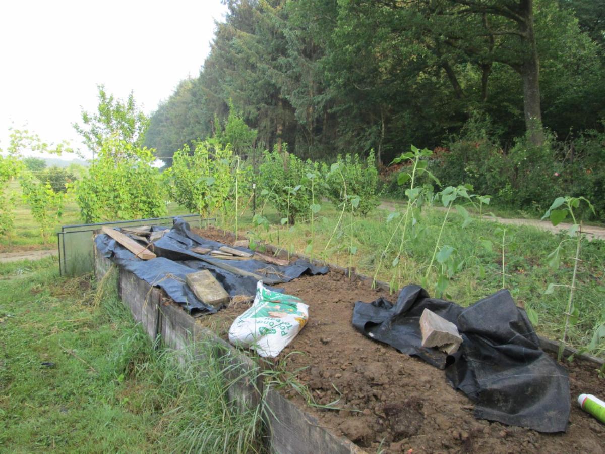Florennes Gîte neuf 150 M2 devant un grand lac privé de 2 hectares poissonneux au milieu des bois Exterior foto