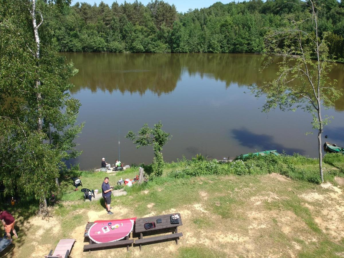 Florennes Gîte neuf 150 M2 devant un grand lac privé de 2 hectares poissonneux au milieu des bois Exterior foto