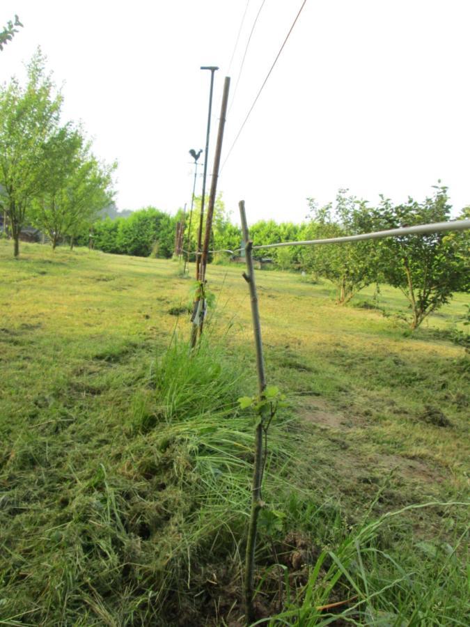 Florennes Gîte neuf 150 M2 devant un grand lac privé de 2 hectares poissonneux au milieu des bois Exterior foto