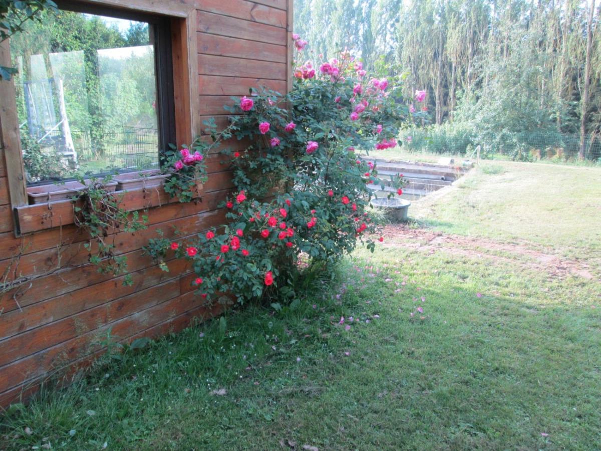 Florennes Gîte neuf 150 M2 devant un grand lac privé de 2 hectares poissonneux au milieu des bois Exterior foto
