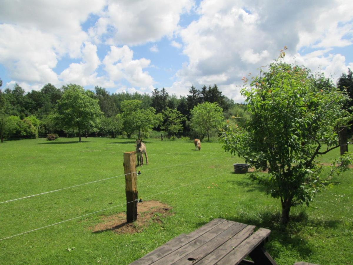 Florennes Gîte neuf 150 M2 devant un grand lac privé de 2 hectares poissonneux au milieu des bois Exterior foto