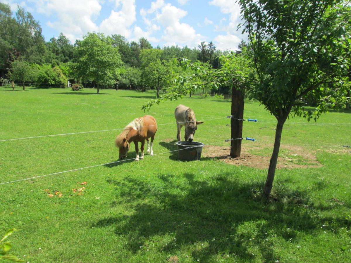 Florennes Gîte neuf 150 M2 devant un grand lac privé de 2 hectares poissonneux au milieu des bois Exterior foto